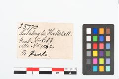 Etikett zu Glasperle (NHMW-PRAE-025770)